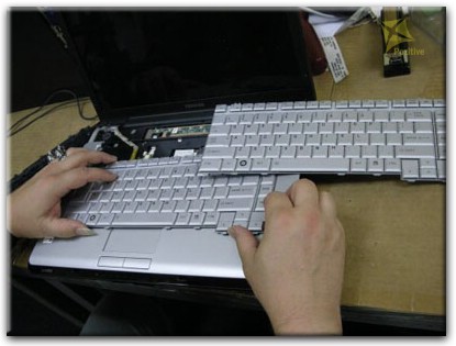 Ремонт клавиатуры на ноутбуке Toshiba в Краснообске