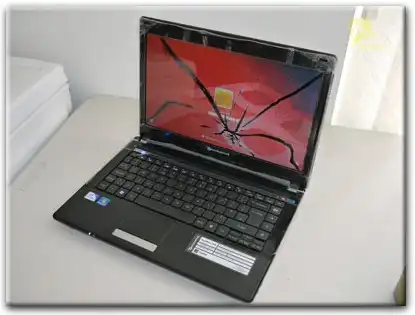 Замена матрицы Packard Bell в Краснообске